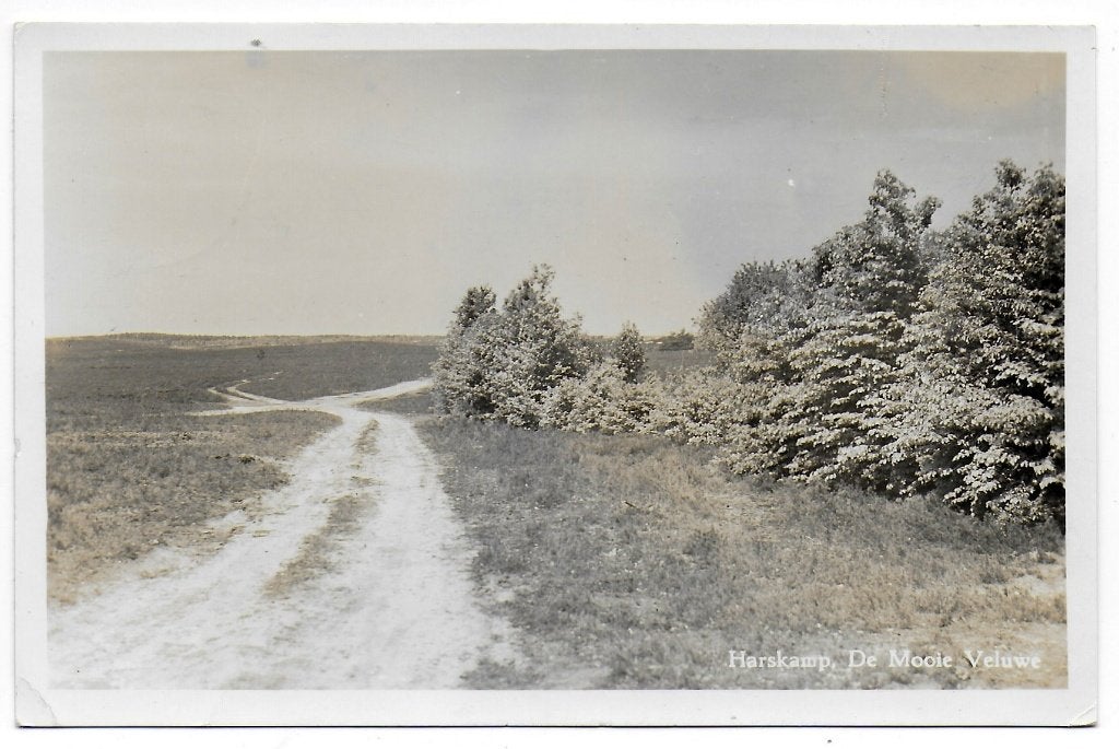 Harskamp de mooie Veluwe Ansichtkaart uit 1957 (B8264 ), Ophalen of Verzenden, 1960 tot 1980, Gelopen, Gelderland