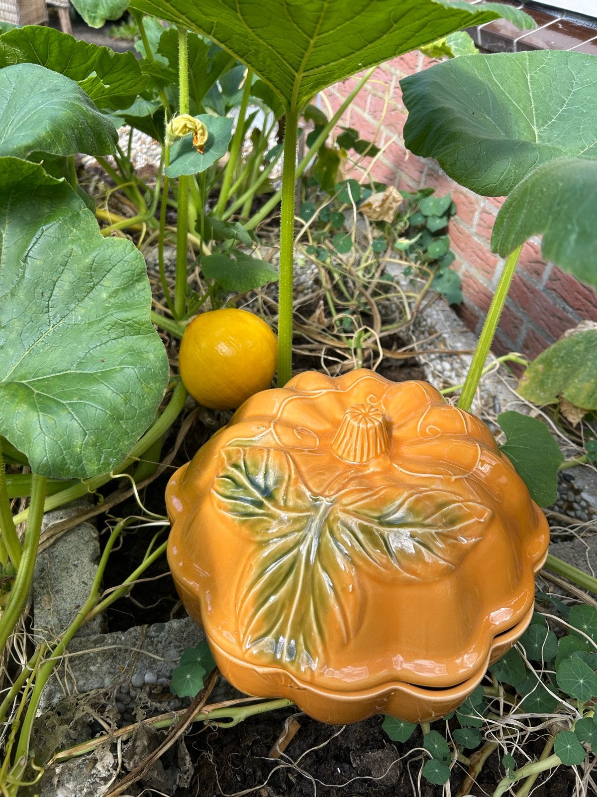 Pompoen schaal met deksel - Soepterrine - Keramiek, Gebruikt, Ophalen of Verzenden, Landelijk, Oranje