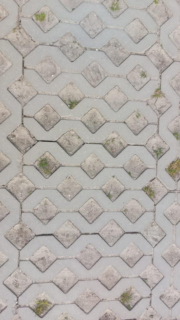 Gebruikte grasbetontegels, Vrij nieuw, 10cm, Ca. 1000m², Tuin en Terras, Overige typen, Ophalen of Verzenden, Zo goed als nieuw