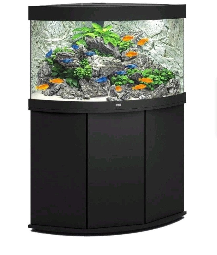 juwel trigon 190 Liter inclusief achterwand, Dieren en Toebehoren, Ophalen of Verzenden, Leeg aquarium