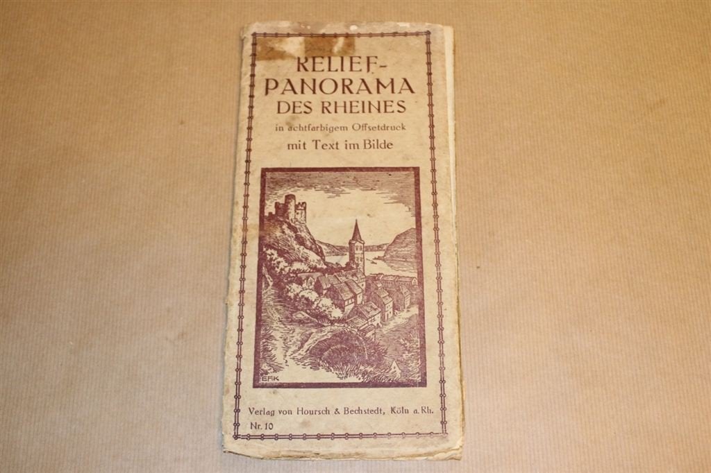 Oude reliëf/ panorama kaart van de Rijn - Circa 1920, Gelezen, Ophalen of Verzenden, Landkaart, 1800 tot 2000