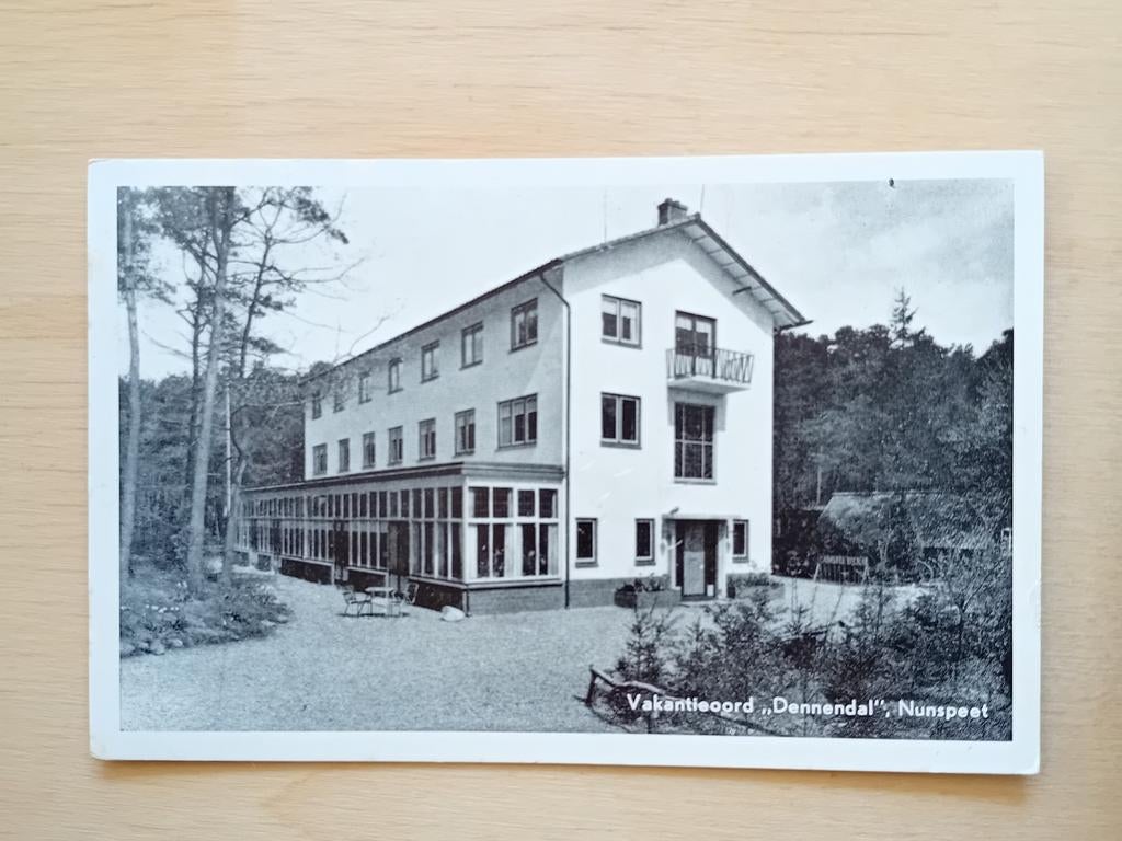 Ansichtkaart Nunspeet, Ophalen of Verzenden, Gelderland