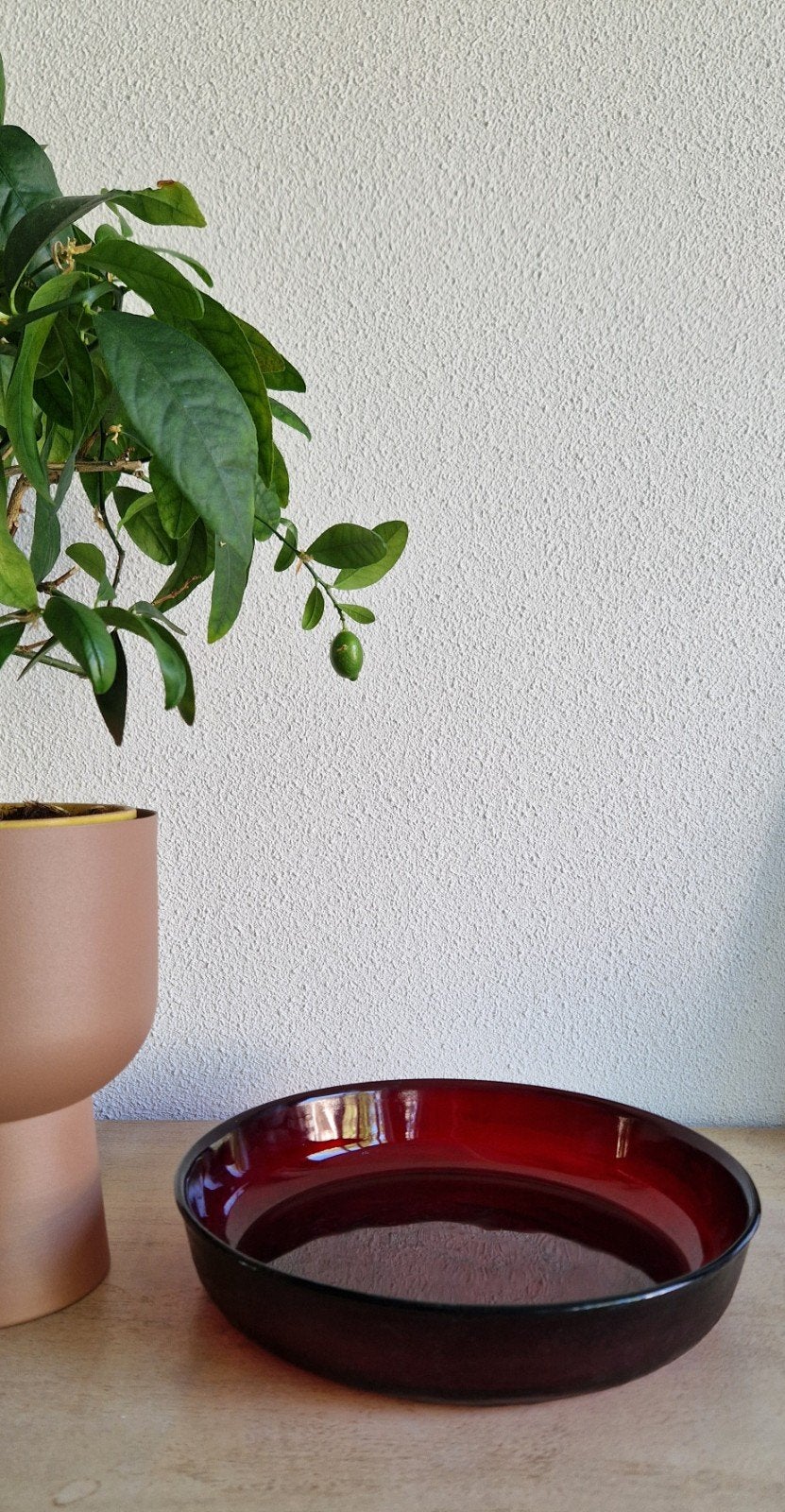 Arcoroc Sierra schaal, Gebruikt, Ophalen of Verzenden, Overige stijlen, Glas