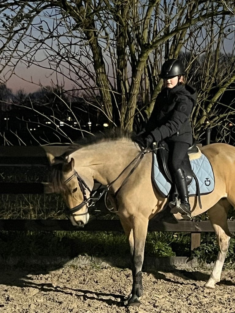 Kinderpony, Merrie, Met stamboom, Dressuurpony, L