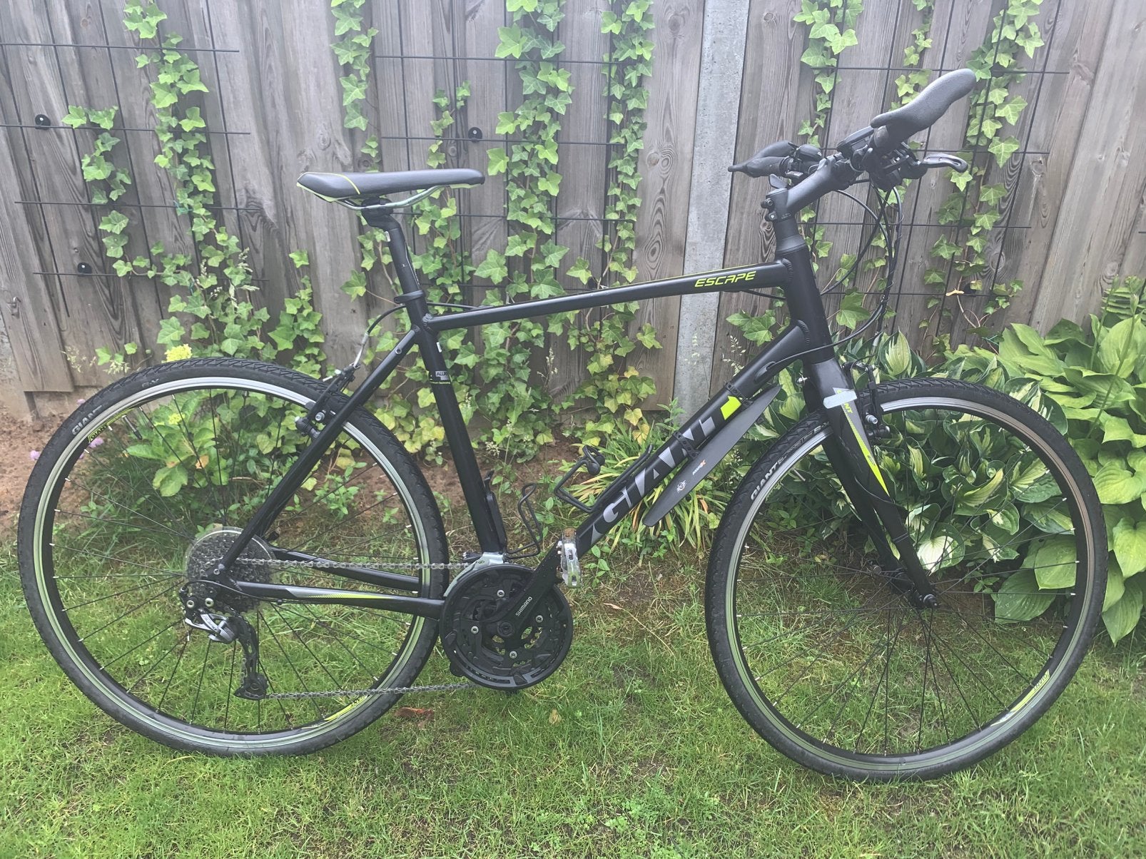 Mooie Giant Escape Trekkingfiets / hybride Maat L (54 cm), 53 tot 57 cm, Ophalen, Gebruikt, Giant