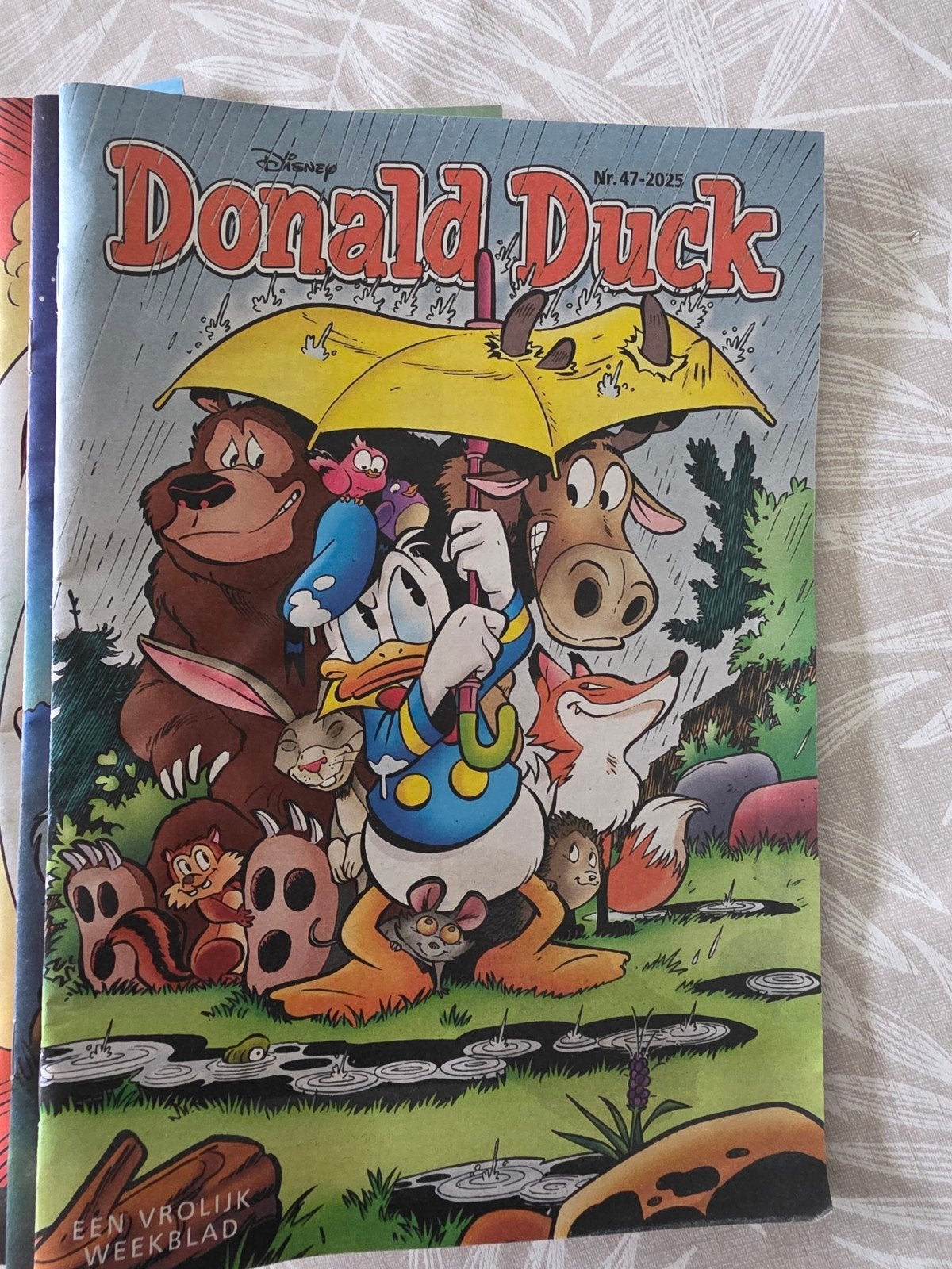 Donald Duck Weekblad, Eén stripboek, Ophalen of Verzenden, Nieuw