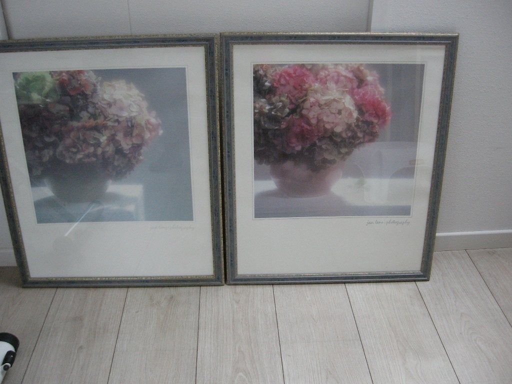 2 Bijp fotoposters hortensia Jan Lens 65x55 cm grijze lijst, Ophalen of Verzenden, Nieuw, 50 tot 75 cm, Schilderij