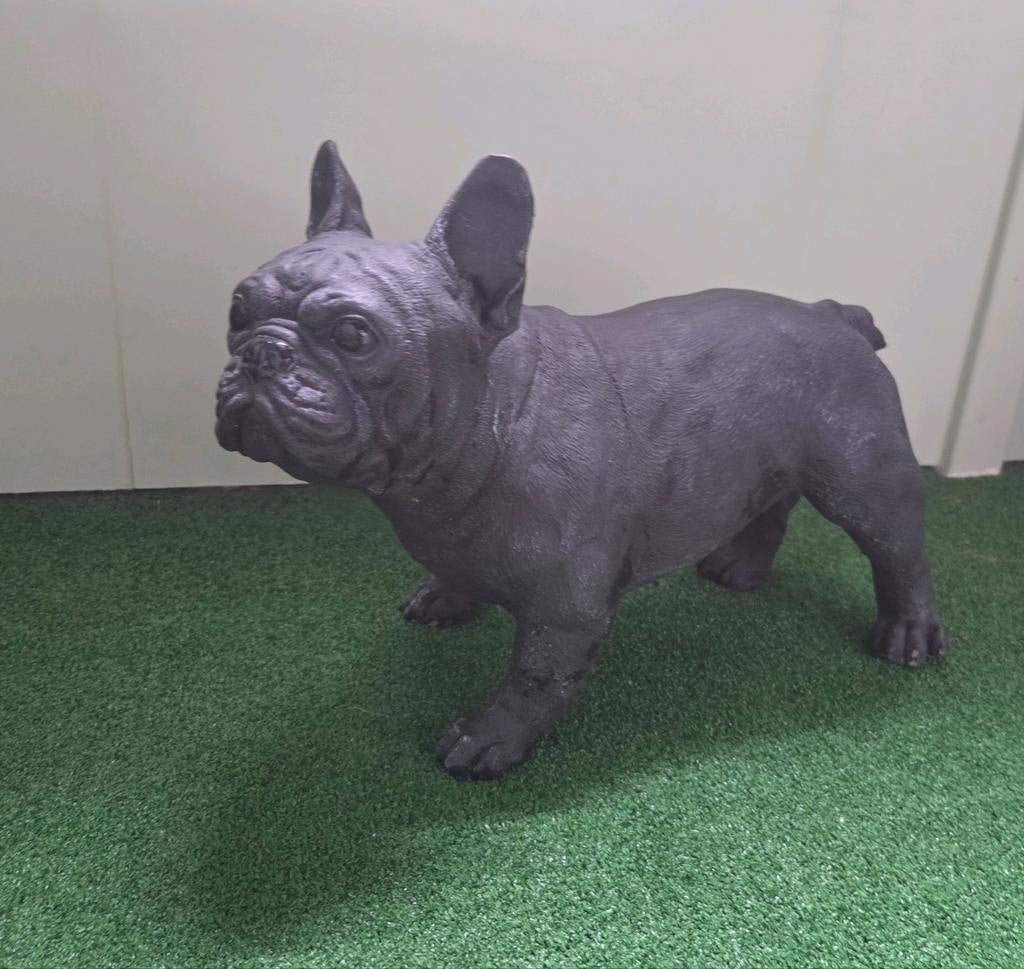 Franse bulldog deco, Ophalen, Zo goed als nieuw, Beton, Dierenbeeld