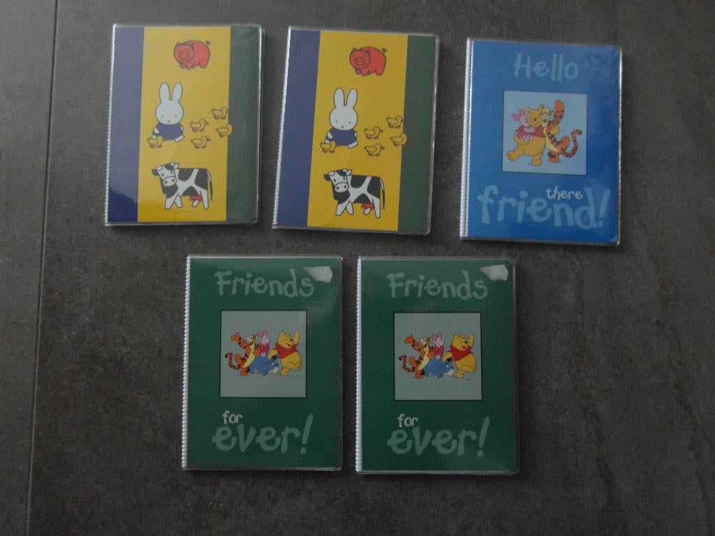 fotomapjes met insteekhoesjes nieuw, Audio, Tv en Foto, Fotoalbums en Accessoires, Ophalen of Verzenden, Nieuw, Fotoalbum