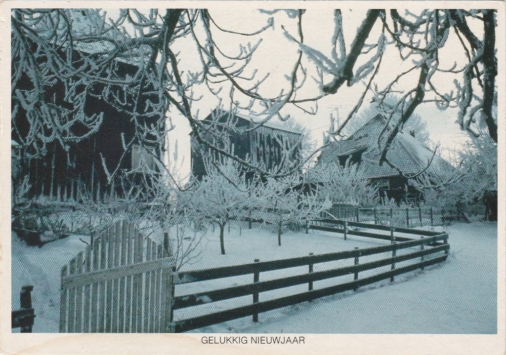 EDAM Boerderijen aan Zeevangszeedijk Nieuwjaarskaart, Verzamelen, Verzenden, 1980 tot heden, Gelopen, Noord-Holland