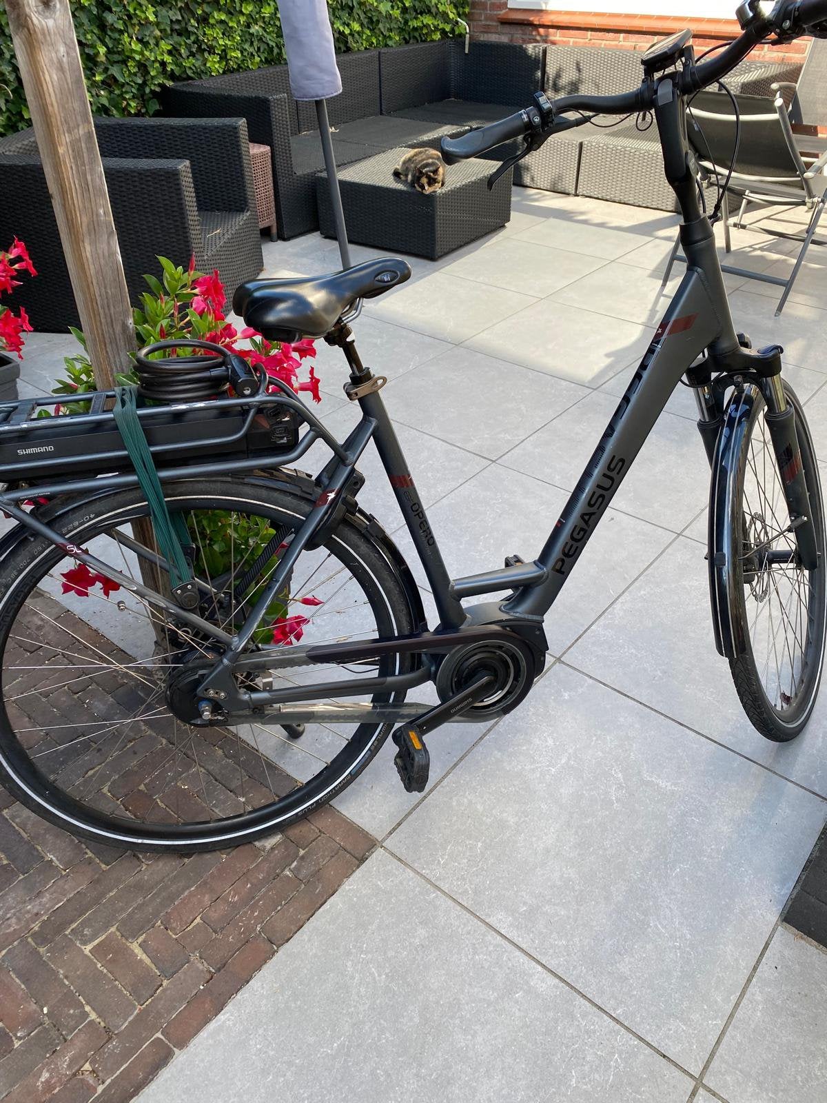 Pegasus elektrische damesfiets met Shimano middenmotor, Gebruikt, 50 km per accu of meer, 55 tot 59 cm, Ophalen