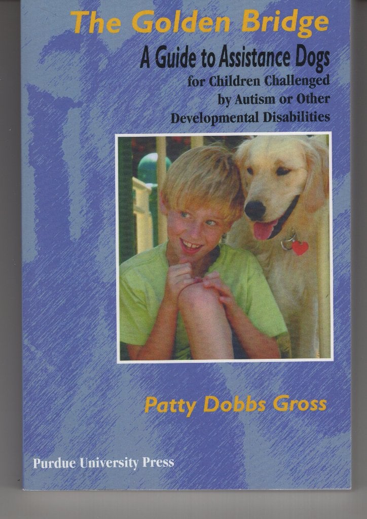 the golden bridge Patty Dobbs Gross Kinderen met autisme, Ophalen of Verzenden, Gelezen, Spiritualiteit algemeen, Overige typen