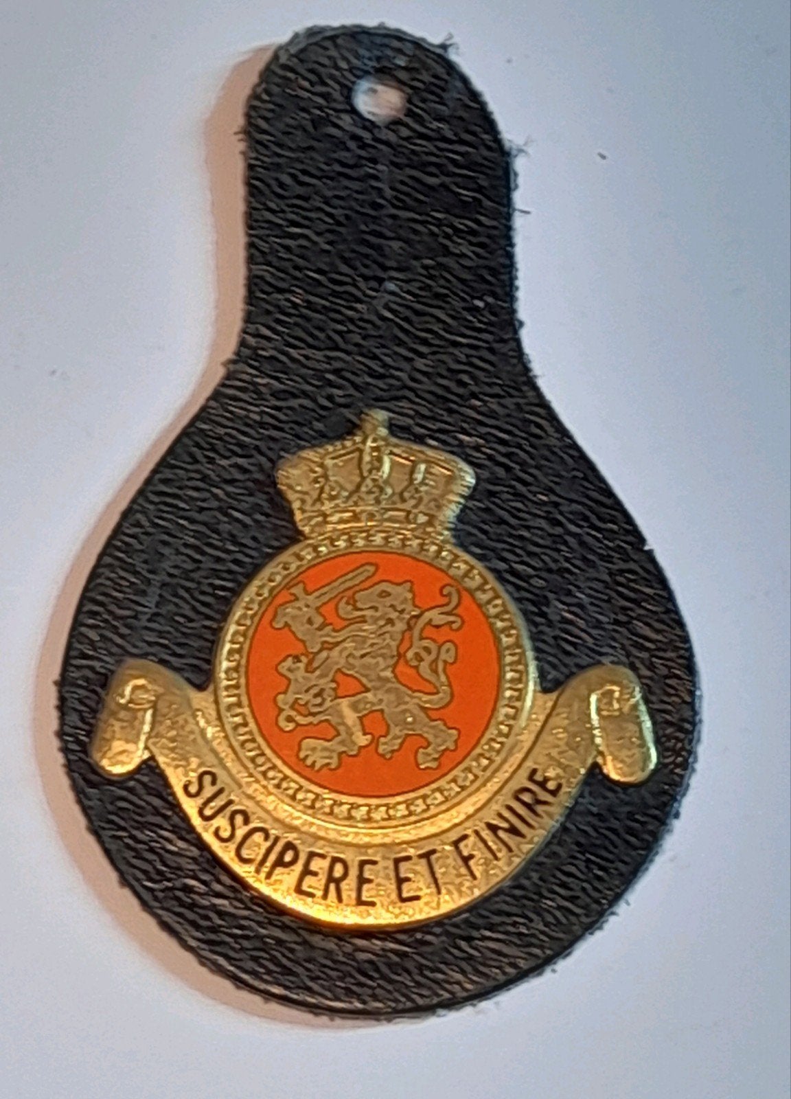 DT HANGER OCOSD, Ophalen of Verzenden, Landmacht, Nederland, Embleem of Badge