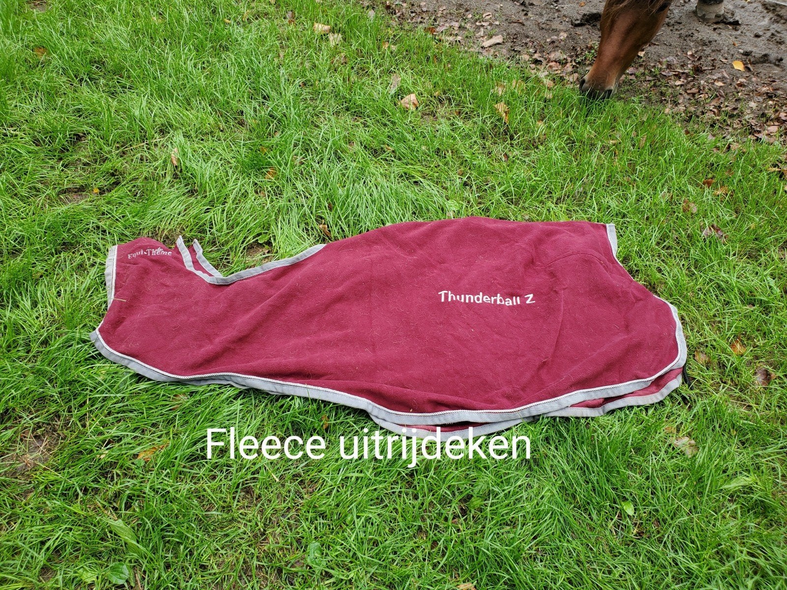 Verschillende dekens te koop., Ophalen of Verzenden, Gebruikt