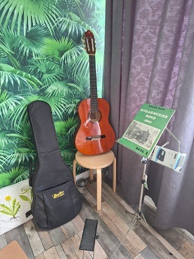 Valencia Klassieke Gitaar + Standaard, Hoes & Accessoires, Muziek en Instrumenten, Ophalen, Gebruikt, Klassieke of Spaanse gitaar