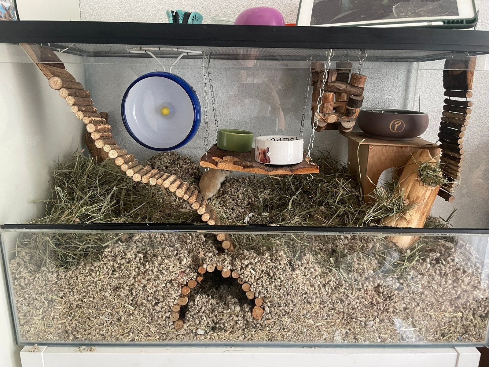 Terrarium knaagdier 80-50-40, Gebruikt, Muis, Hok, 75 tot 110 cm