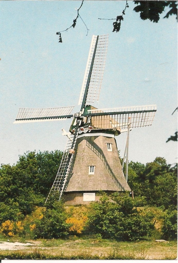 Zweelo, Molen Jantina Helling (1891) Aelden - Ansichtkaart, Ophalen of Verzenden, 1980 tot heden, Gelopen, Drenthe