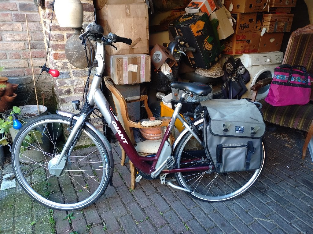 Giant elektrische fiets zonder accu, Fietsen en Brommers, Ophalen of Verzenden, Gebruikt, Giant