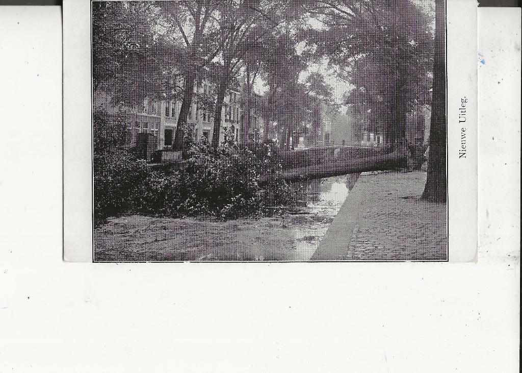 Den Haag Nieuwe Uitleg Omgevallen boom, Ophalen of Verzenden, Voor 1920, Ongelopen, Zuid-Holland