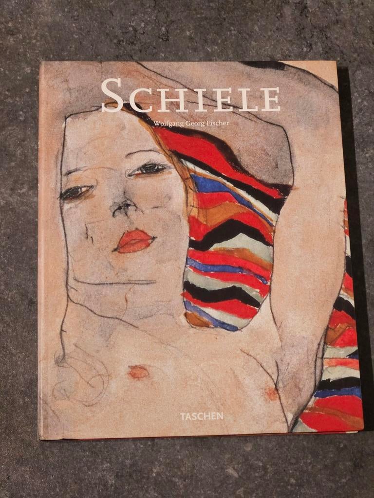 Boek Egon Schiele - Wolfgang Georg Fischer, Boeken, Kunst en Cultuur | Beeldend, Gelezen, Fischer, Ophalen of Verzenden, Schilder- en Tekenkunst