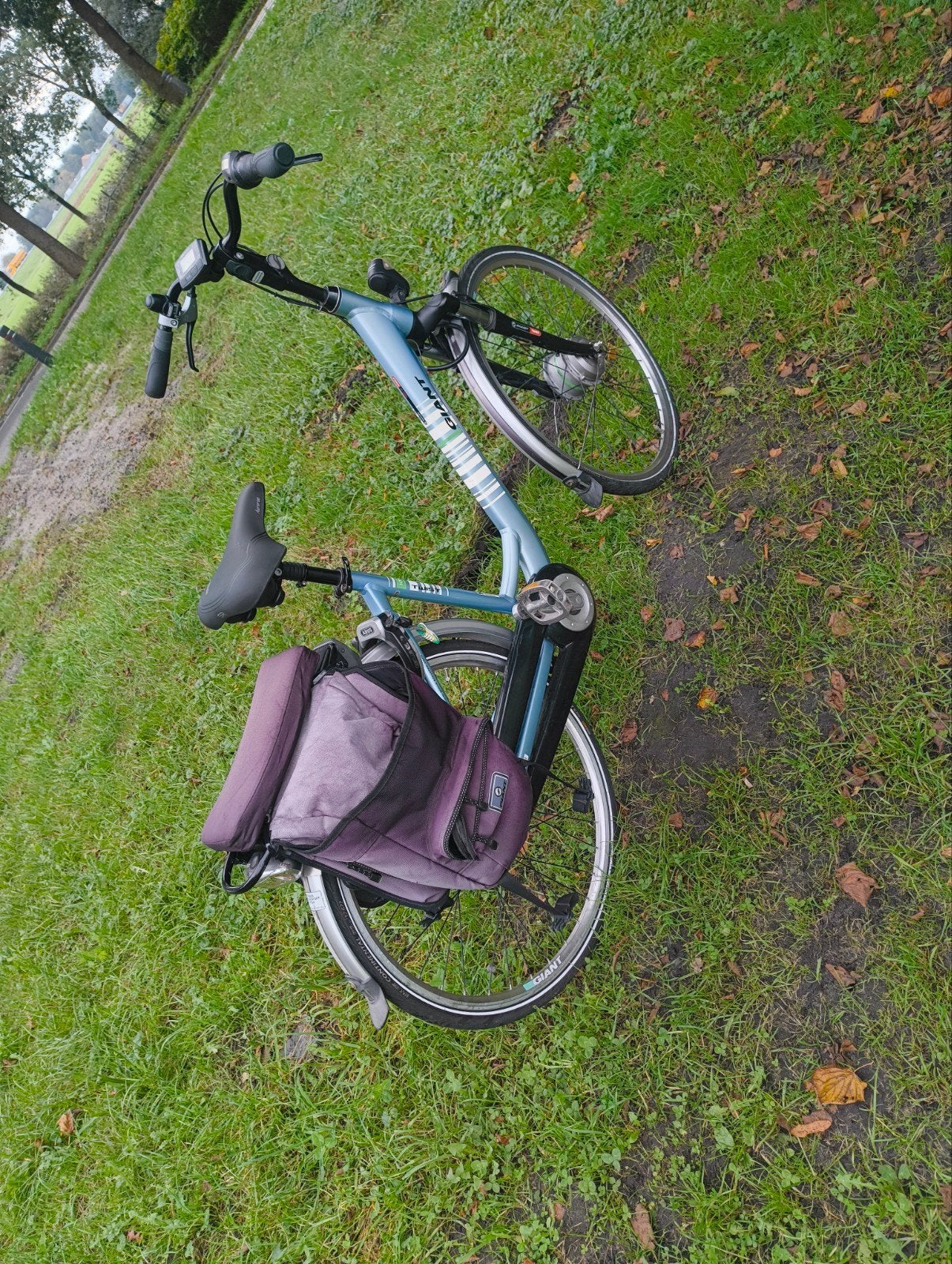 giant twist, Ophalen, Gebruikt, Minder dan 30 km per accu, Giant