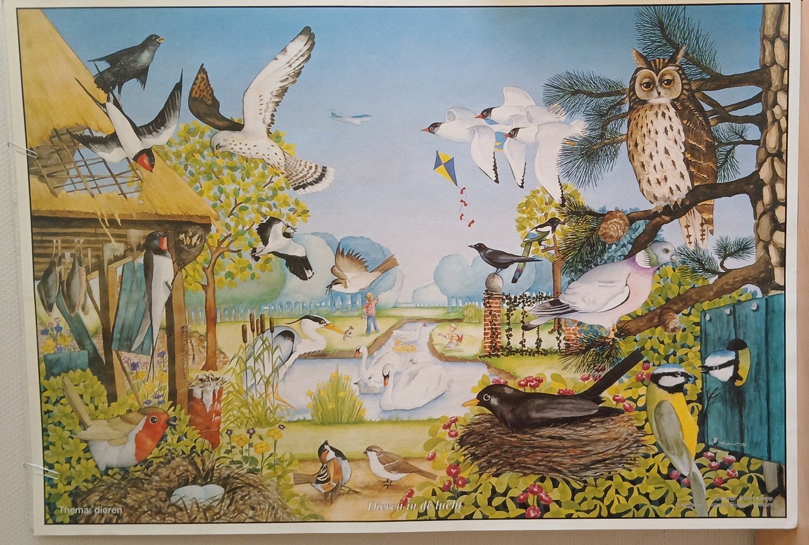 Oude schoolposter., Antiek en Kunst, Antiek | Schoolplaten, Ophalen of Verzenden, Natuur en Biologie