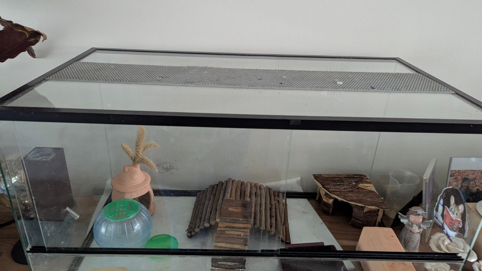 Groot terrarium, Ophalen
