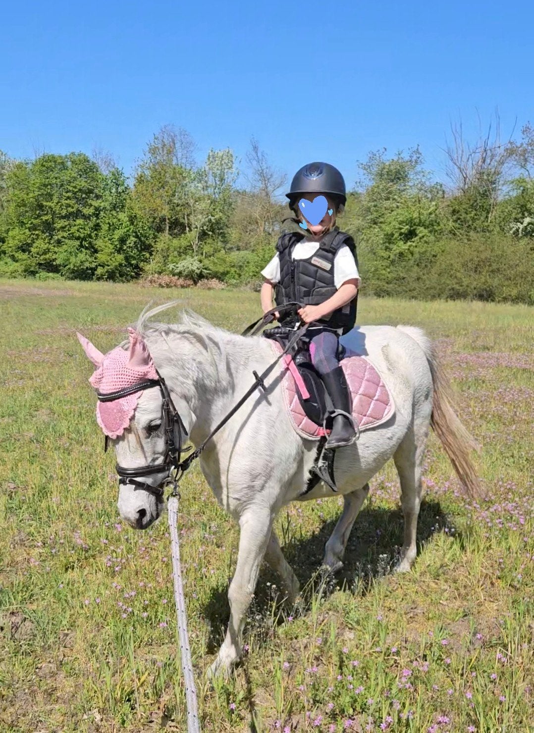 Super lieve Welsh pony (1.22 m), Dieren en Toebehoren, Pony's, Merrie