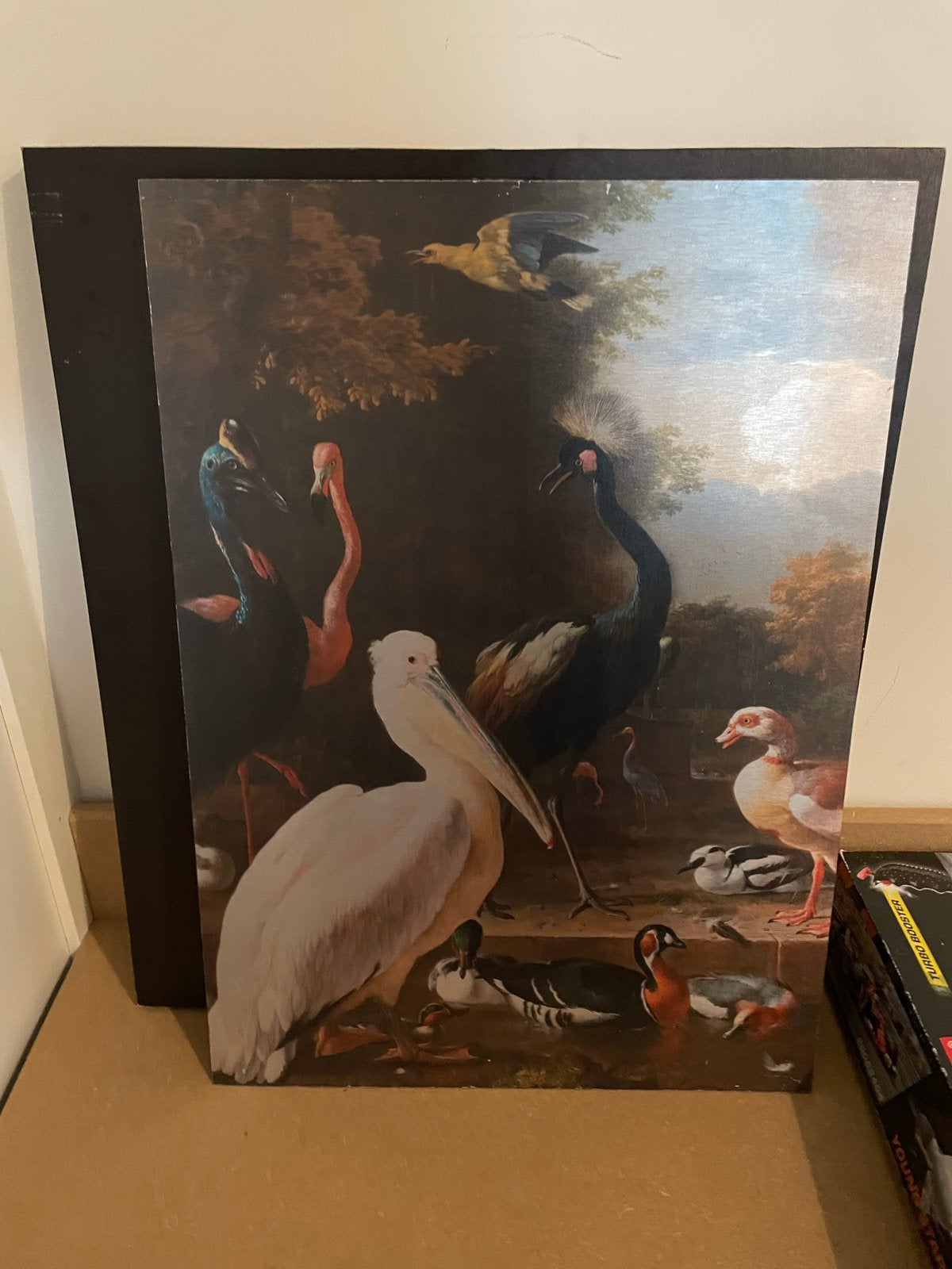 Schilderij op aluminium - Het drijvende veertje, Ophalen of Verzenden, Dieren, Metaal