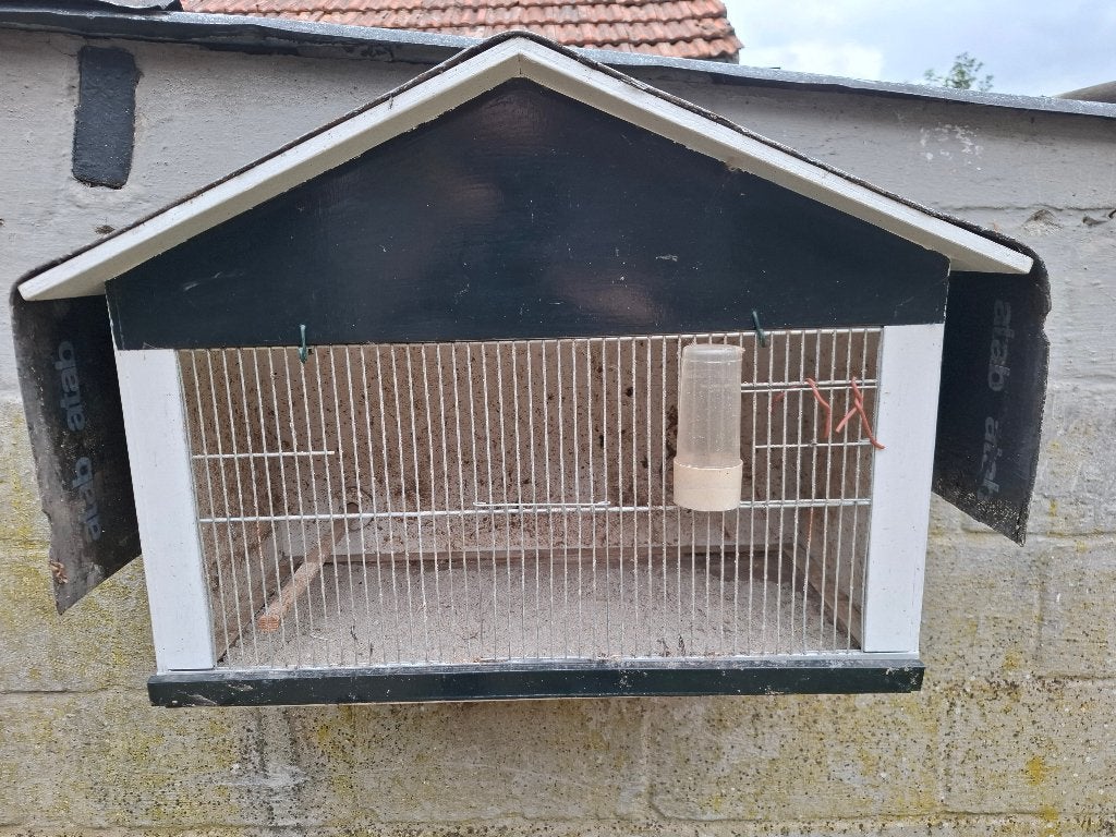 lijster / merelkooi, Ophalen, Gebruikt, Hout, Vogelkooi