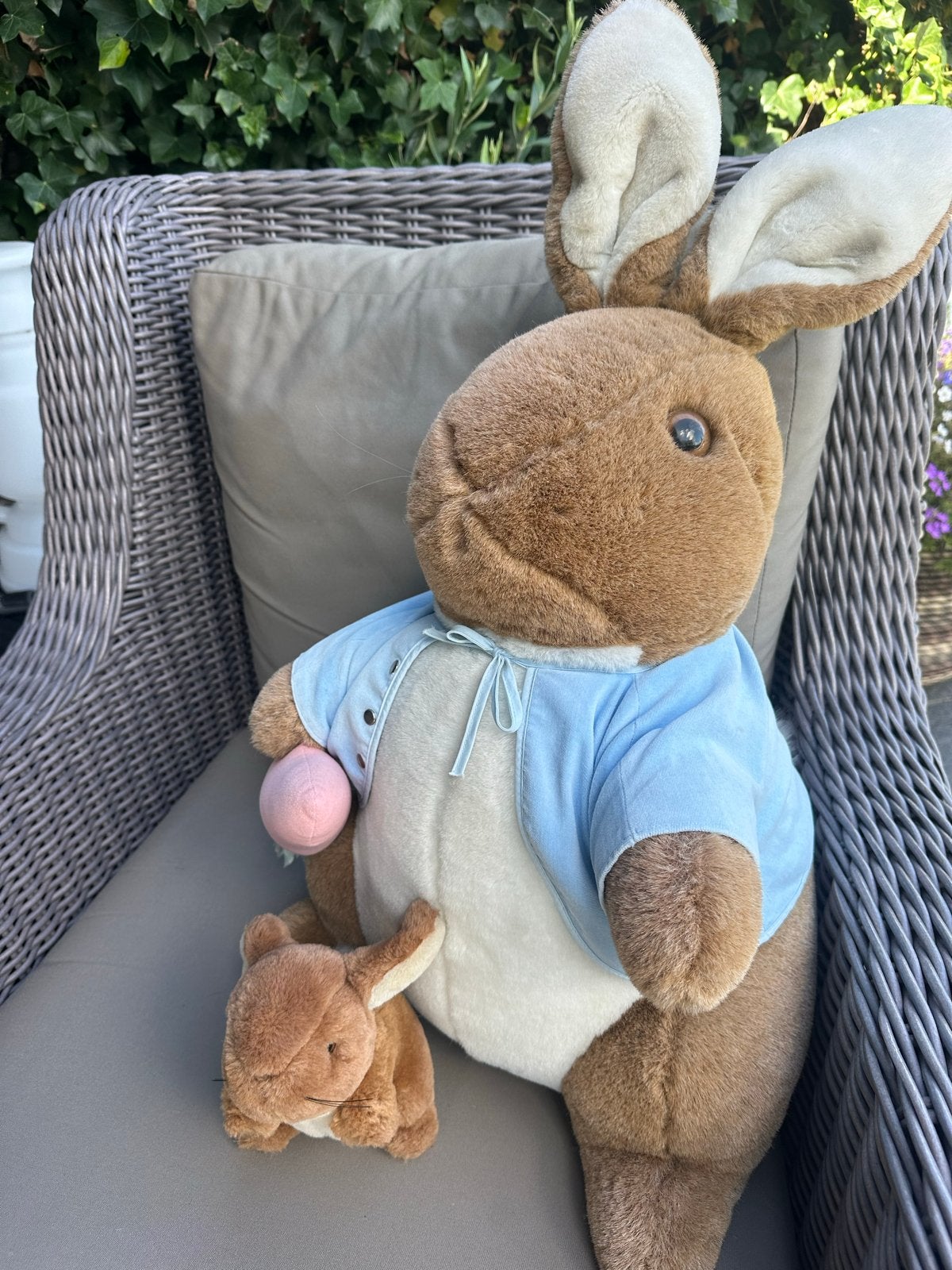 Grote Pieter Konijn knuffel, Beatrix Potter,  Eden, Ophalen, Overige merken, Overige karakters, Konijn