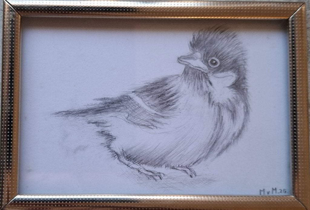 tekening Koolmees 9,5x13,5cm, Antiek en Kunst, Ophalen of Verzenden