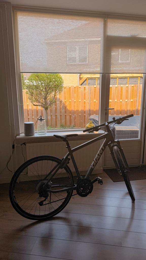 Giant Roam XR Hybride Fiets - Perfect voor Stad en Avontuur, 28 inch, Gebruikt, Vering, Meer dan 20 versnellingen
