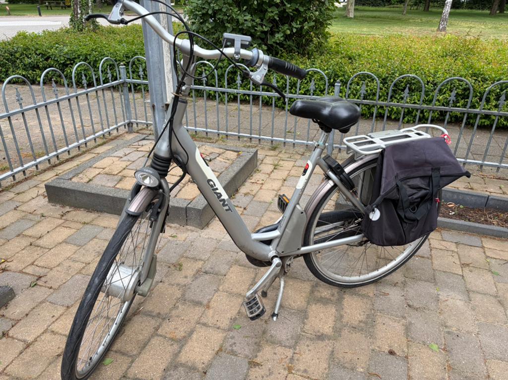 Giant Twist elektrische fiets - Comfortabel en betrouwbaar, Ophalen, Minder dan 30 km per accu, Gebruikt, Giant