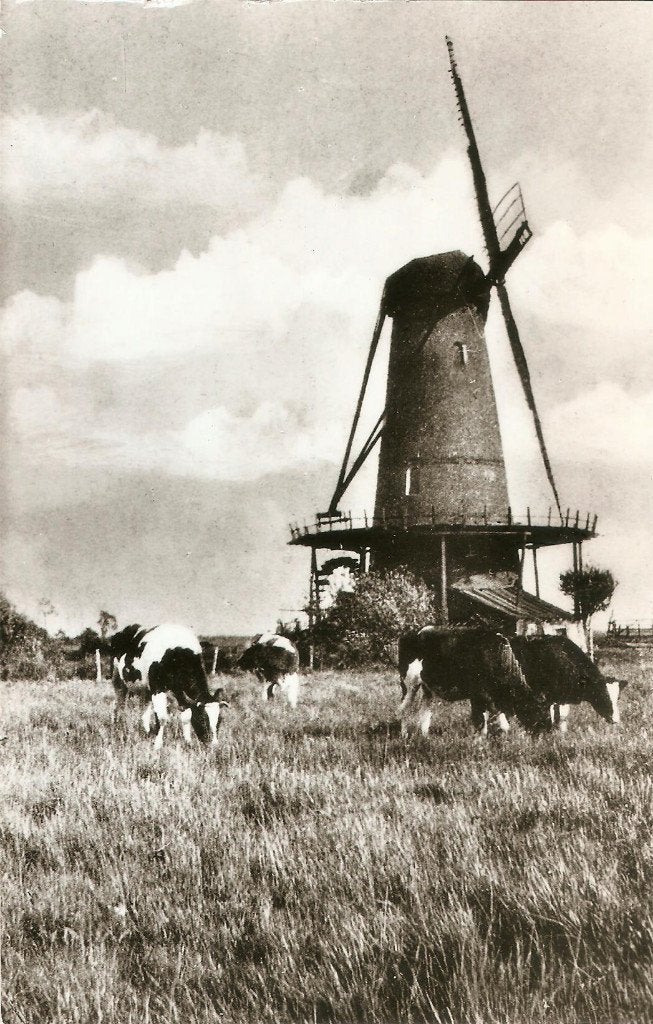 Casteren Wolfswinkel Hoogeloon - Liempde molen ca. 1975, Ophalen of Verzenden, 1960 tot 1980, Ongelopen, Noord-Brabant
