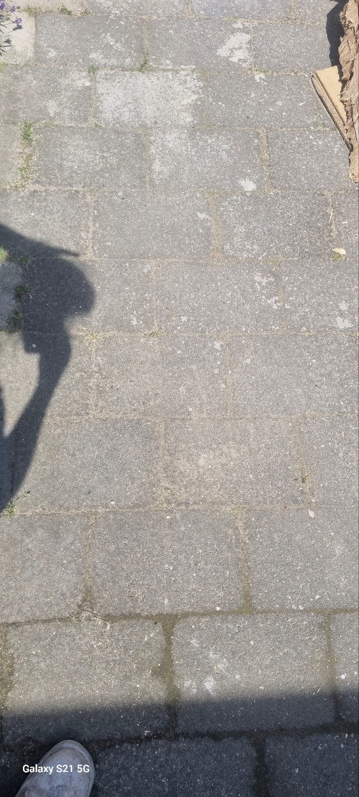 Betonnen tuintegels 29.5x19.5 cm, ca. 27 m2, gratis afhalen, Ophalen, 10 m² of meer, 60 cm of meer, Vloertegels