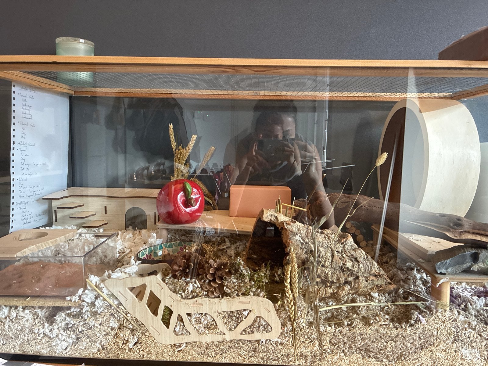 Hamster kooi, Dieren en Toebehoren, Minder dan 60 cm, Kooi, Ophalen of Verzenden, 75 tot 110 cm