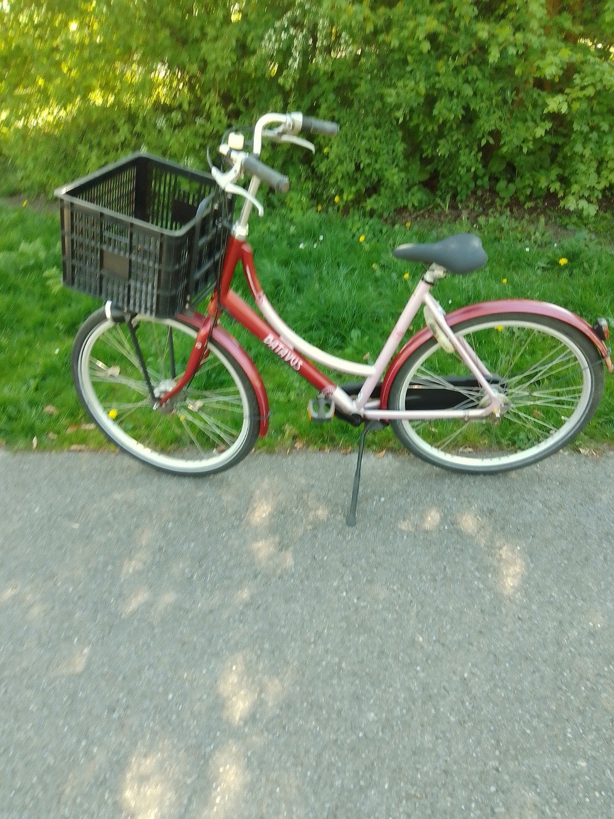 Batavus damesfiets 3ver rolerbrake remmen 28 inch, Ophalen, Gebruikt, 26 inch of meer