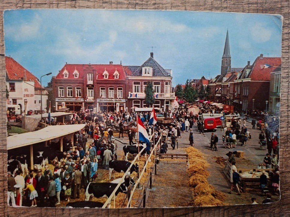 Ansichtkaart Schagen veemarkt, Verzamelen, Ophalen of Verzenden