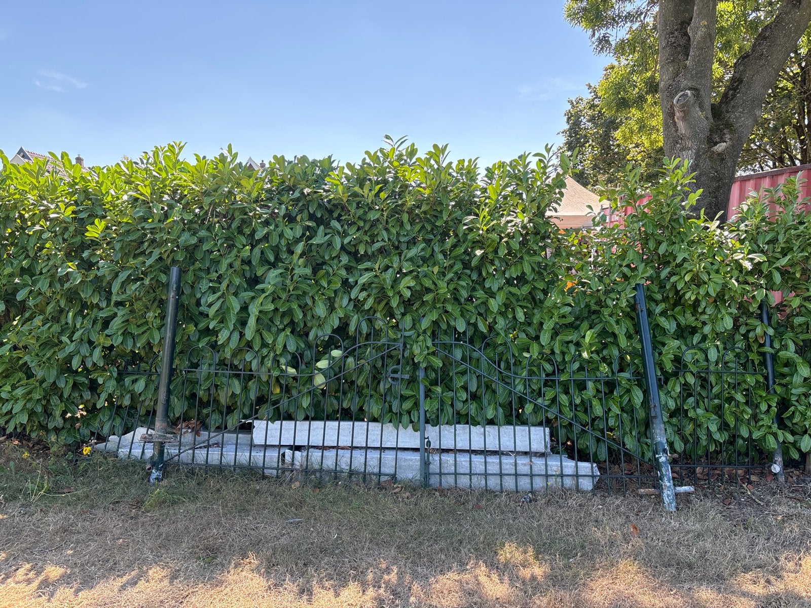 Sierhekwerk met poort - Gebruikt, Ophalen, Met poort, Gebruikt, Sierhekwerk