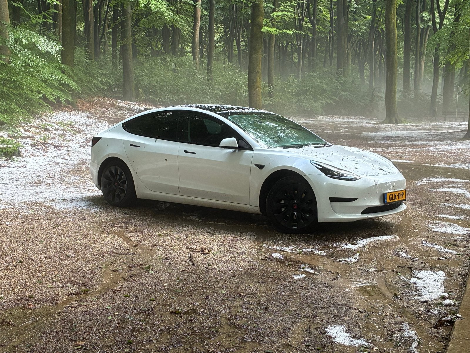 Tesla Model 3 Standard RWD 2023, Auto's, Tesla, Particulier, Model 3, Trekhaak, Elektrisch, Sedan, Automaat, Geïmporteerd, Wit