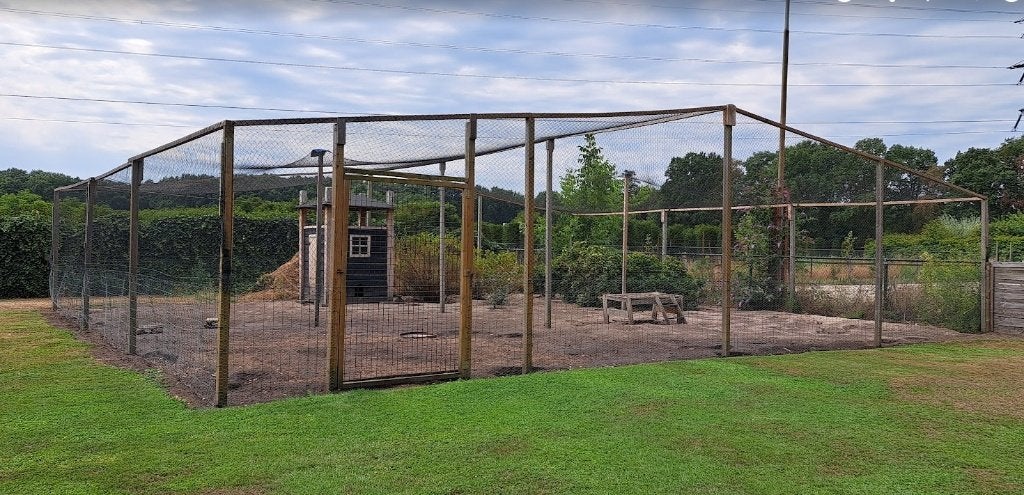 Kippenren en hok, Dieren en Toebehoren, Vogels | Hokken en Kooien, Ophalen, Gebruikt, Hout, Volière