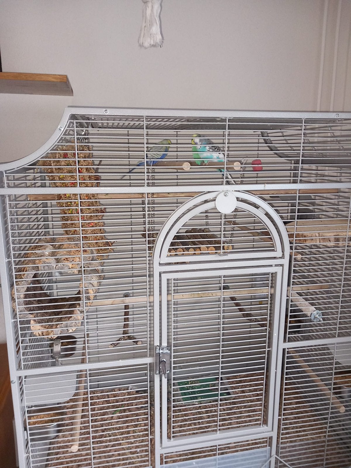 Zo goed als nieuw wegens omstandigheden, Ophalen, Zo goed als nieuw, Metaal, Vogelkooi
