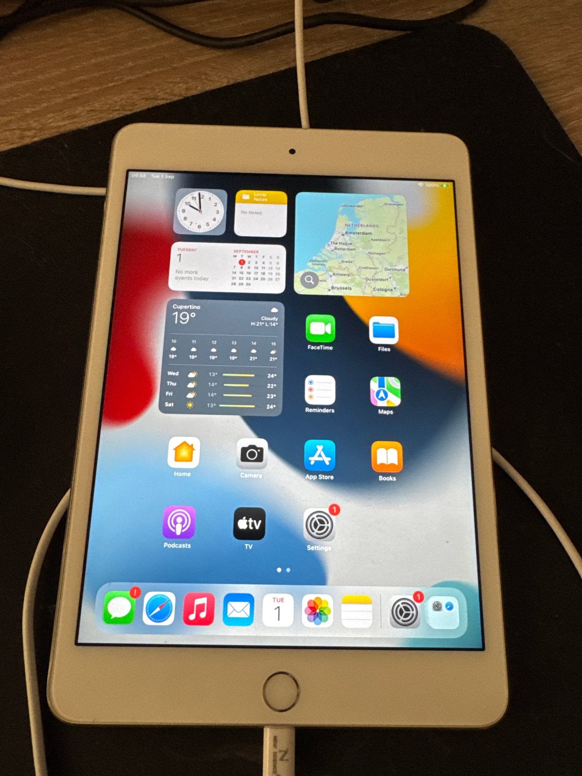 iPad Mini 4 - 64GB - Wit - Gebruikt, Ophalen, Gebruikt, Wit, 64 GB