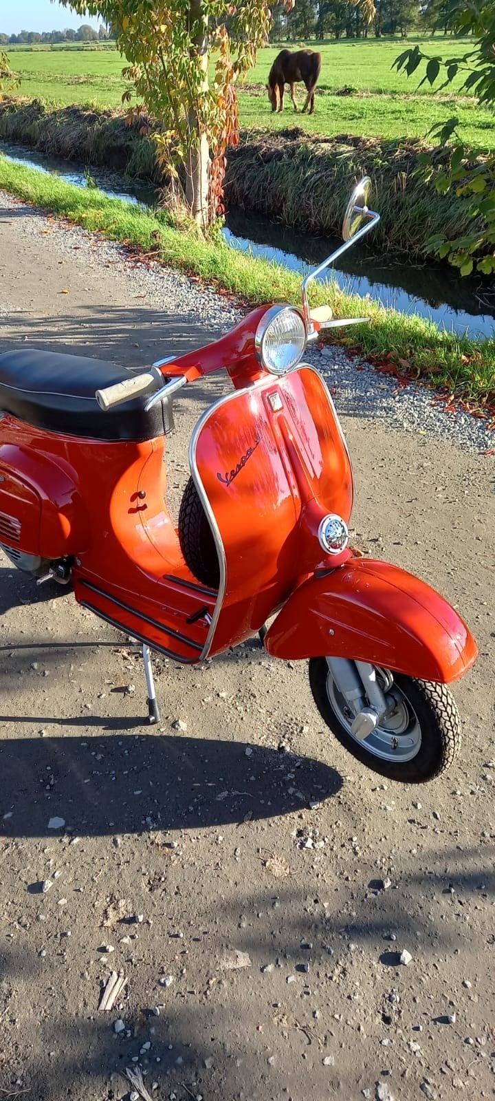gezocht vespa v50 R N L Special, Ophalen, Benzine