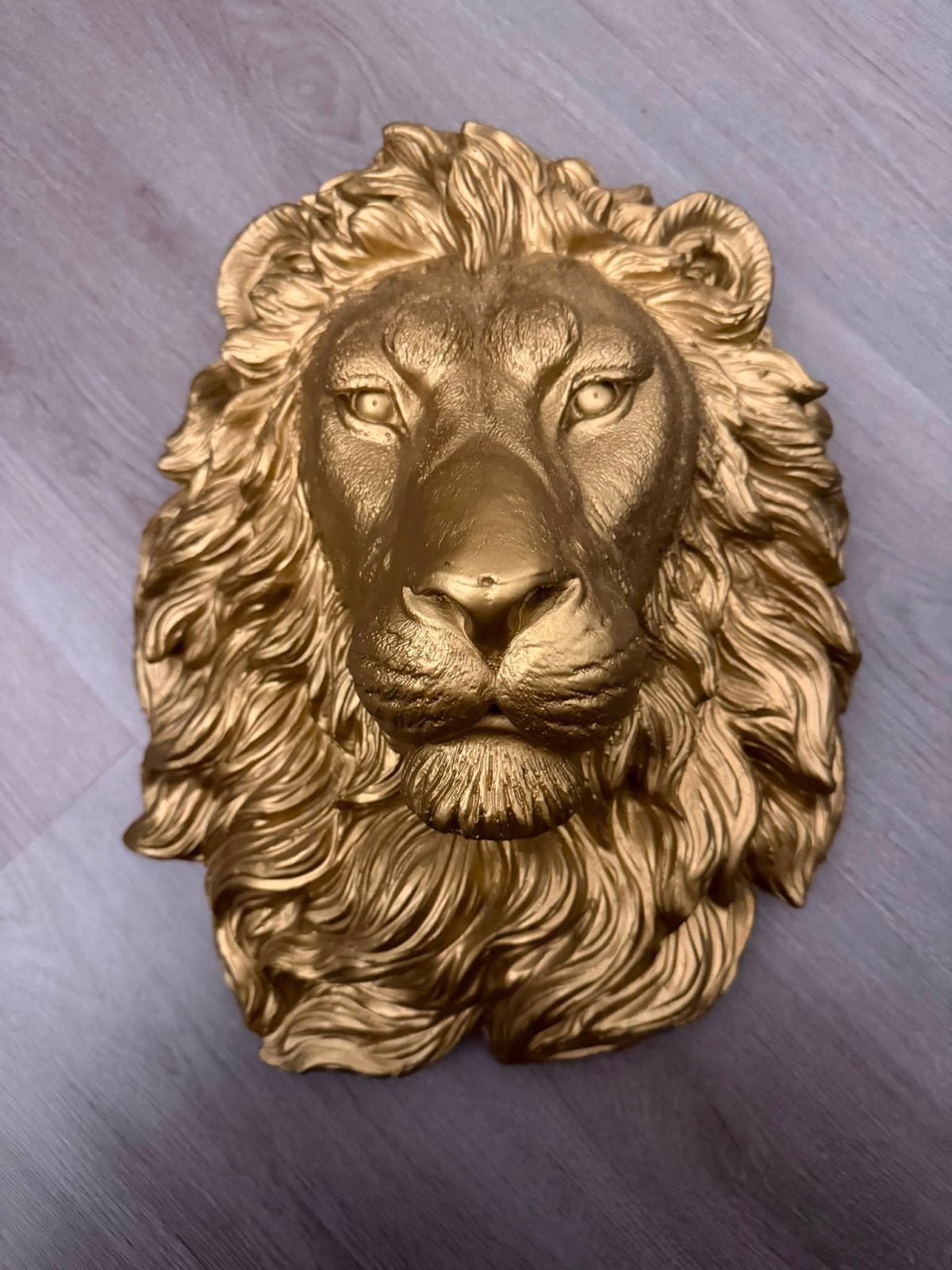 Gouden Leeuwenkop Wanddecoratie, Ophalen, Kunststof, Zo goed als nieuw, Goud