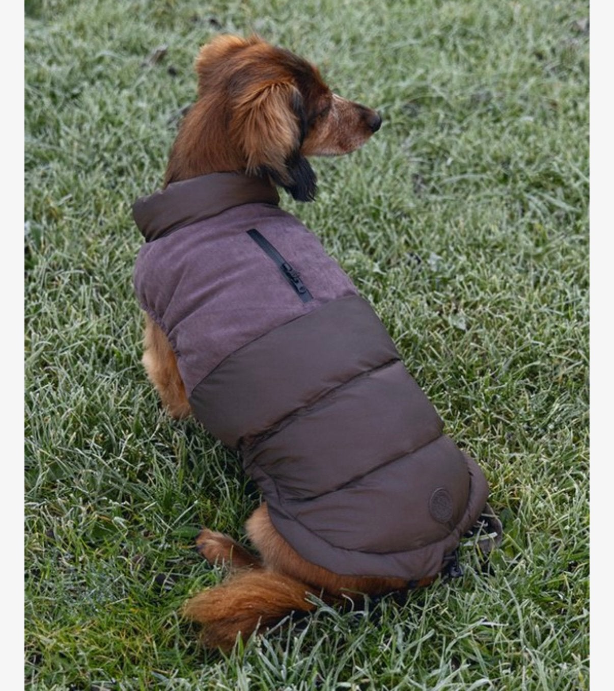 Beeztees hondenjasje xs 32 cm, Dieren en Toebehoren, Ophalen of Verzenden, Zo goed als nieuw, Hondenjas