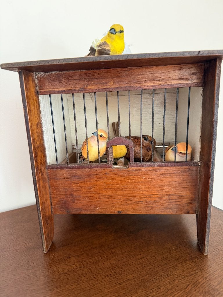 Vogelkooitje, Vinkenkooitje, Ophalen of Verzenden