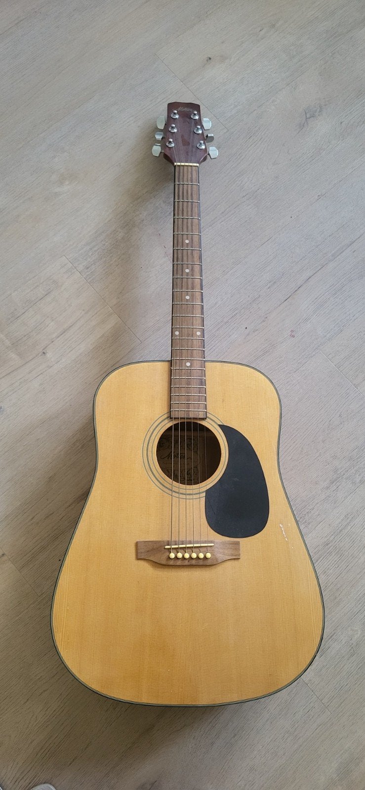 Akoestische gitaar Motion stalen snaren, Ophalen, Gebruikt, Western- of Steelstringgitaar