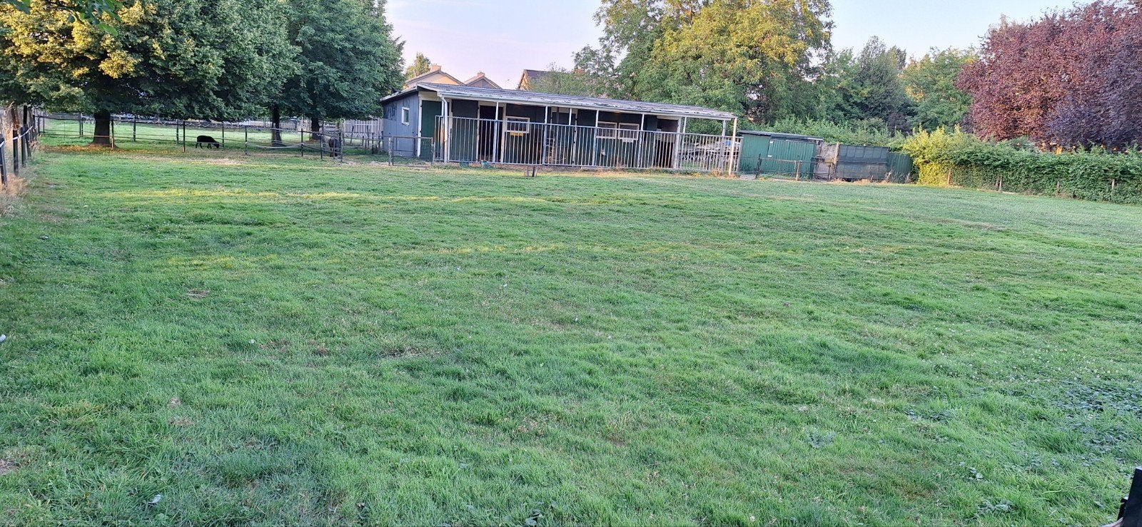 Stal-weidemaatje gezocht voor onze 20 jr shetlander(ruin), Weidegang, 1 paard of pony